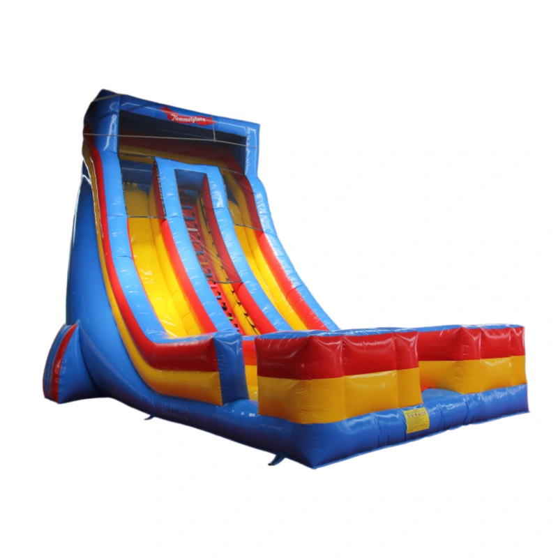 28 ft Double Bay Water Slide Inflatable Water Slide For Sale (3)