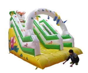 16 Ft single lane wet dry inflatable water slide (3)