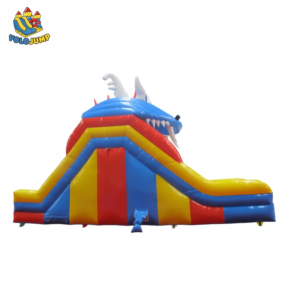 19 foot dragon single lane primary colors inflatable water slide for sale (3)