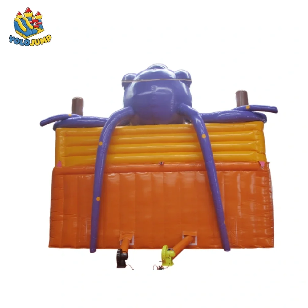 20 ft Octopus theme double lane wet dry inflatable water slide (4)
